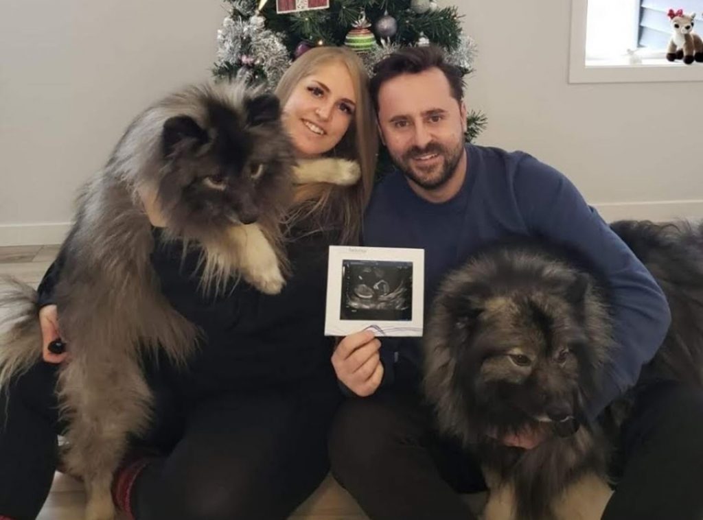 Two people smile with their two dogs and an ultrasound photo.