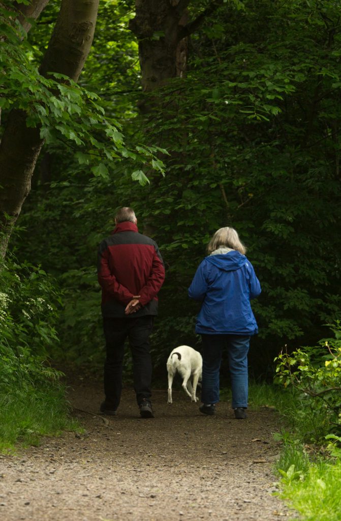 an older couple enjoying a nature walk on a walking path with their dog