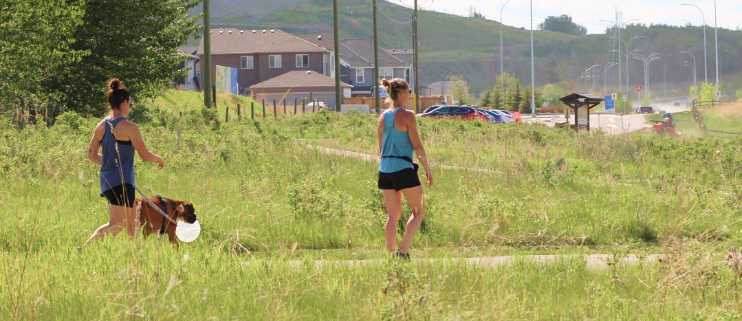 women walking through fish creek park with their dog towards wolf willow