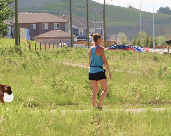 women walking through fish creek park with their dog towards wolf willow