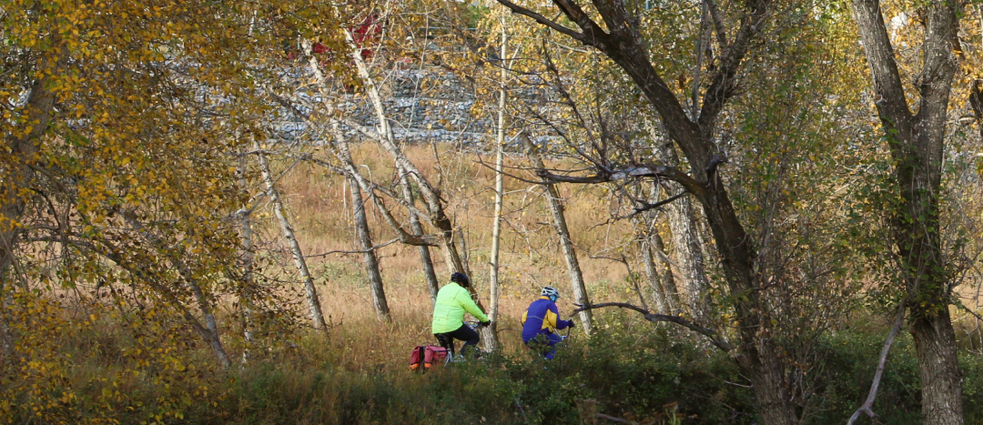 bikers enjoying the autumn colors of fish creek park