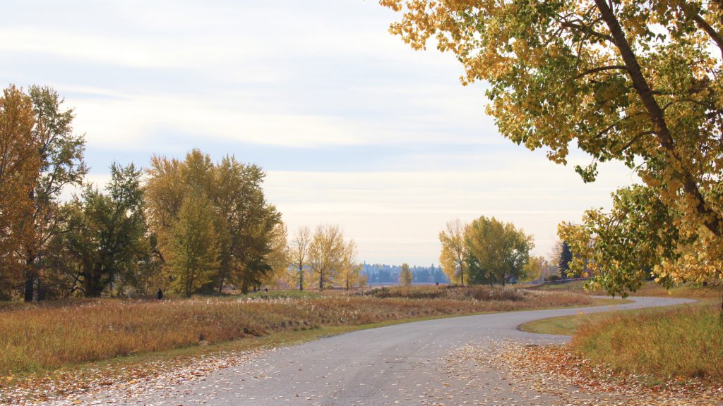 paved walkway in mallard pointe in fish creek park alberta