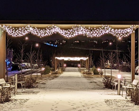 christmas lights set up in promenade park in wolf willow