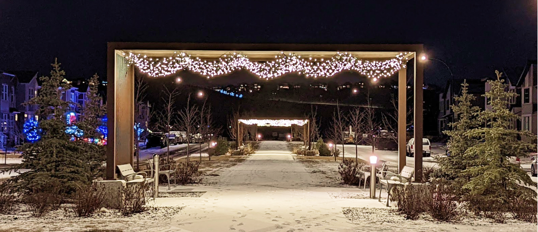 christmas lights set up in promenade park in wolf willow