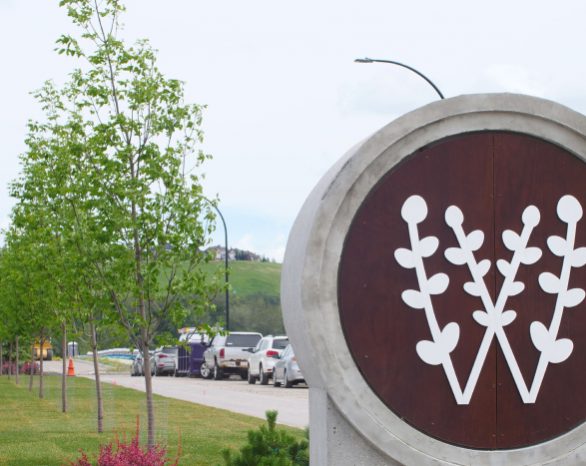 wolf willow emblem in promenade park