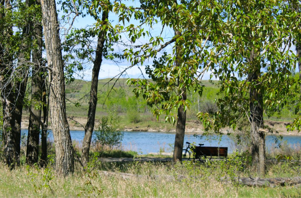 a bike leaning up against a bench on the walking paths near the bow river