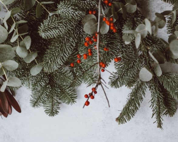 boughs of fresh greenery and cranberries laid out on marble