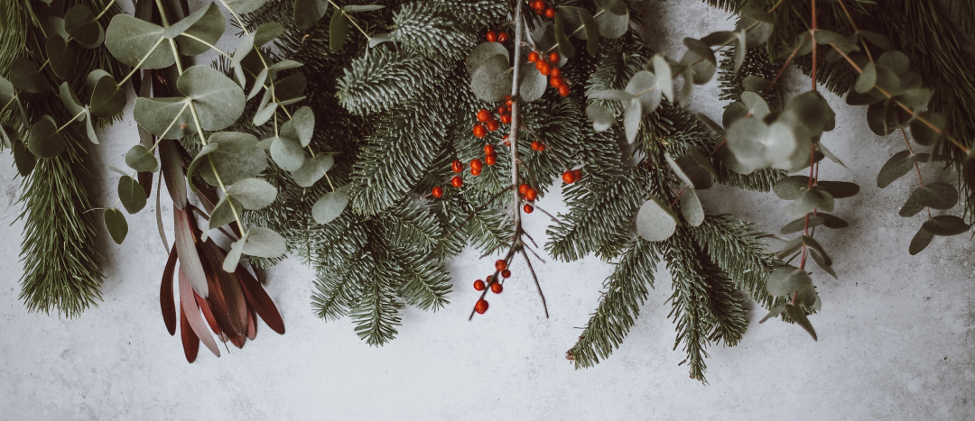 boughs of fresh greenery and cranberries laid out on marble