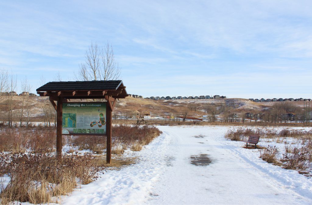 a snowladen trail in fish creek park near wolf willow in winter