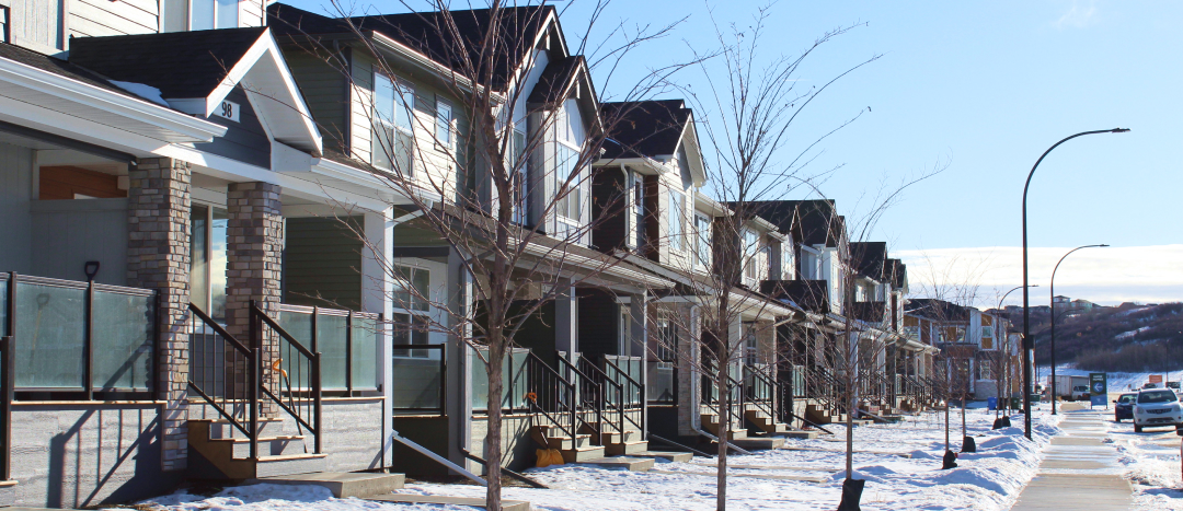 wintery streetscape in wolf willow